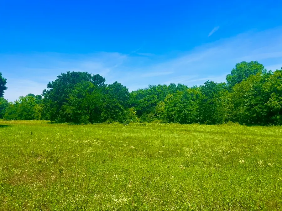 Lot 103 Arlow Road, Poolville, TX 76487 - #2