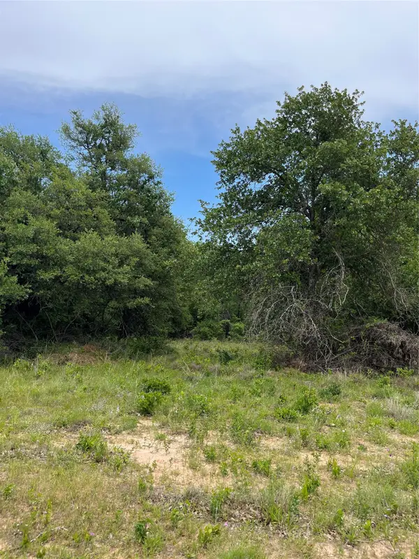 Lot 96 Kilkenny Rd, Poolville, TX 76487