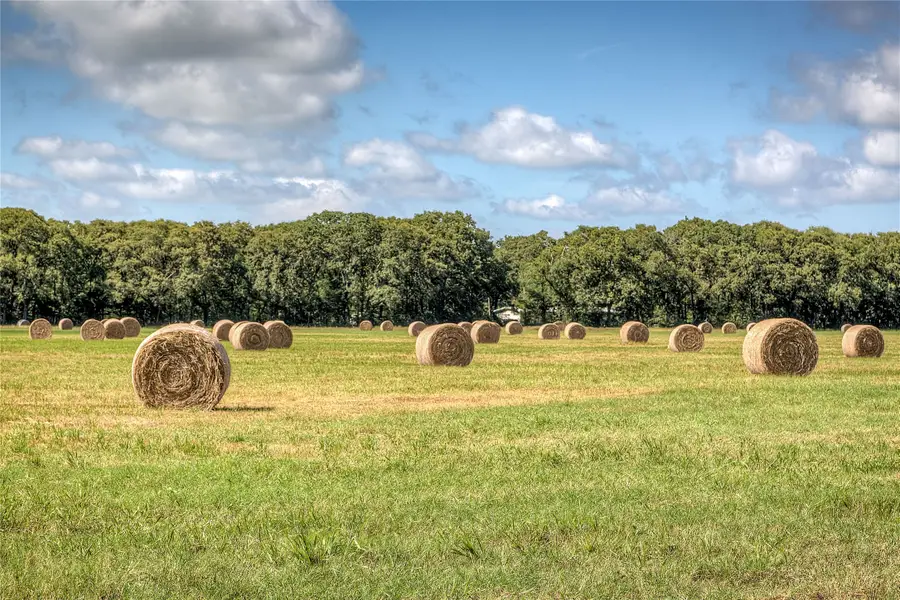 Lot 2 County Road 120, Wills Point, TX 75169 - #2