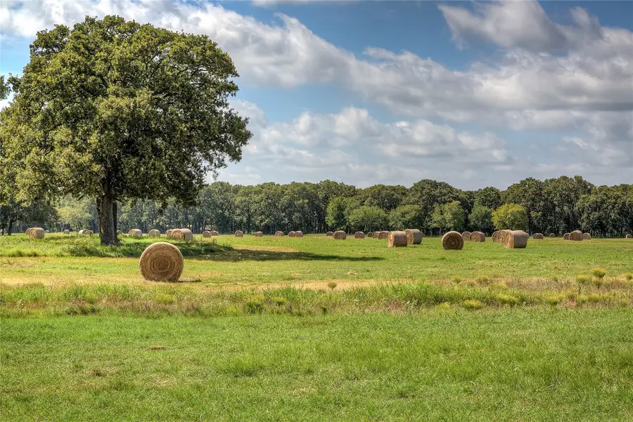 Lot 2 County Road 120, Wills Point, TX 75169 - #3