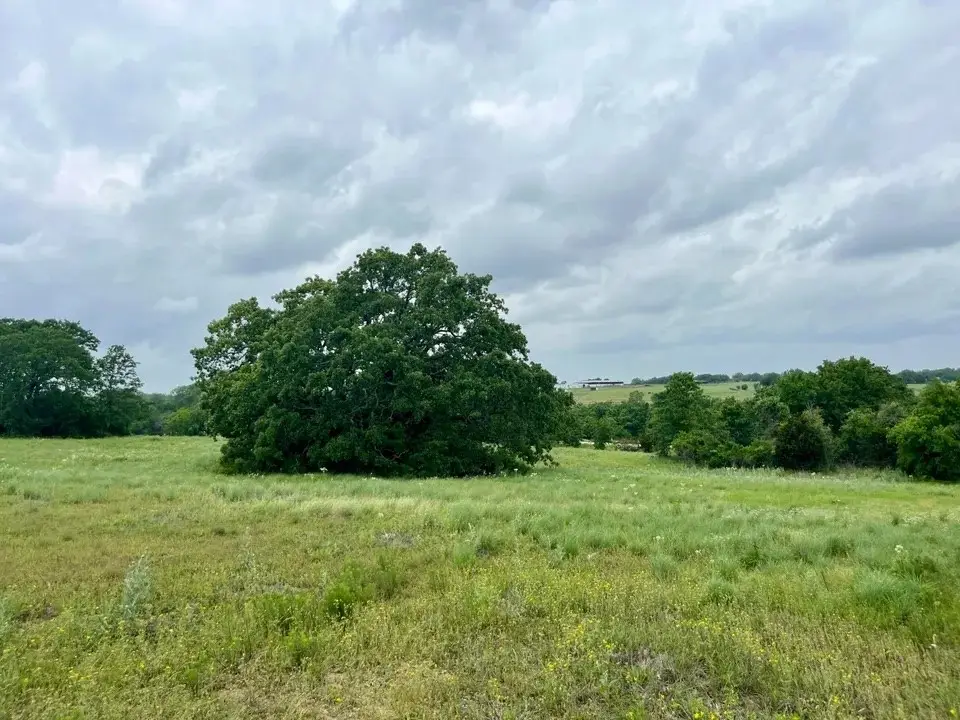 Lot 14 Arlow Road, Poolville, TX 76487 - #1