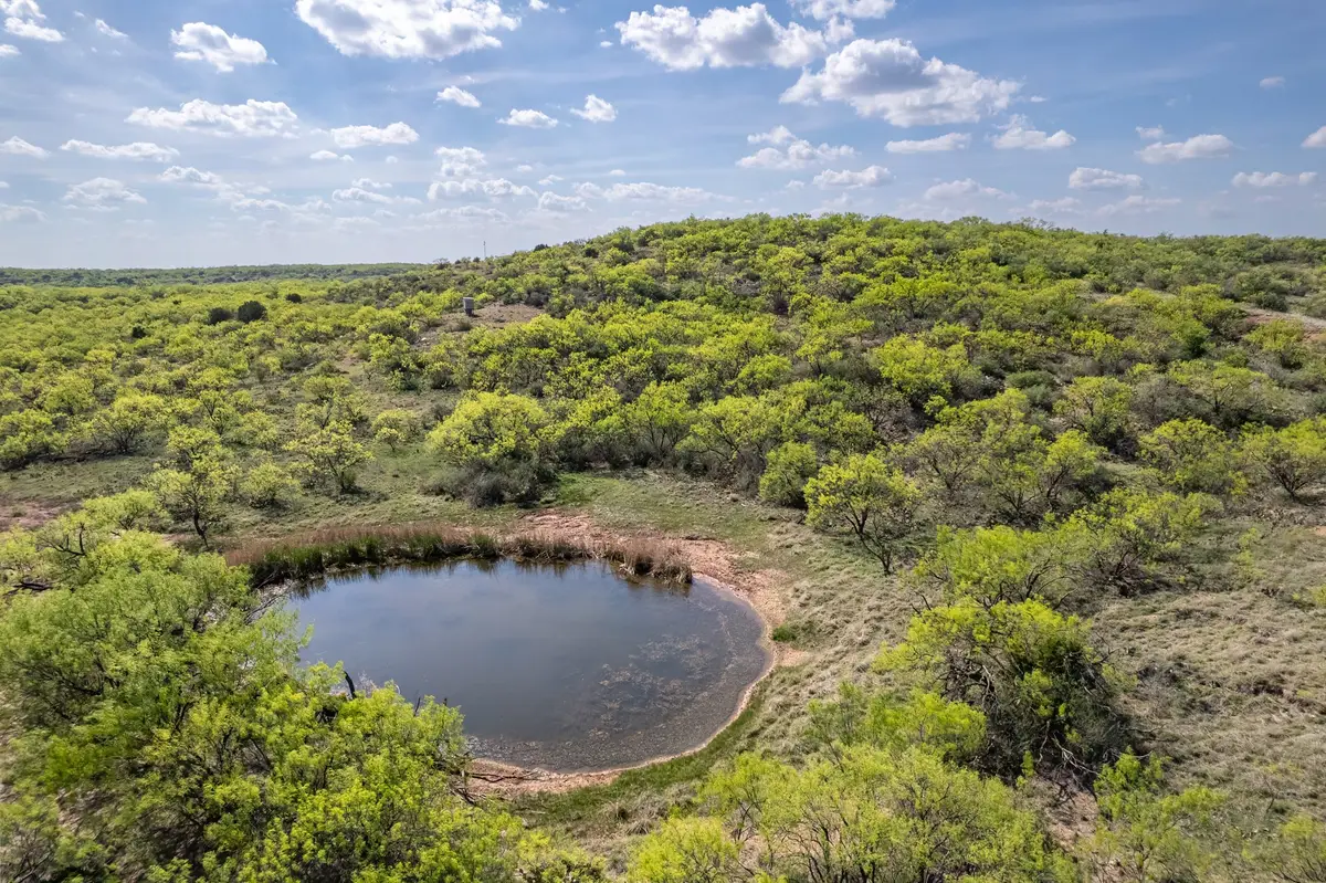TBD Hwy 84, Santa Anna, TX 76878 - #1