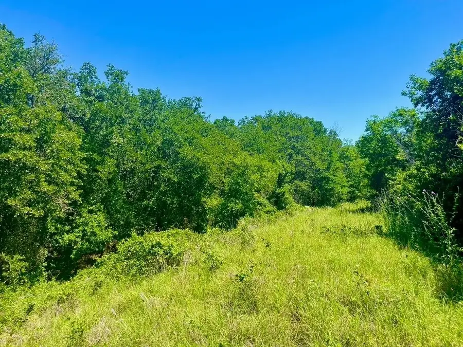 Lot 35 Galway Road, Poolville, TX 76487 - #2