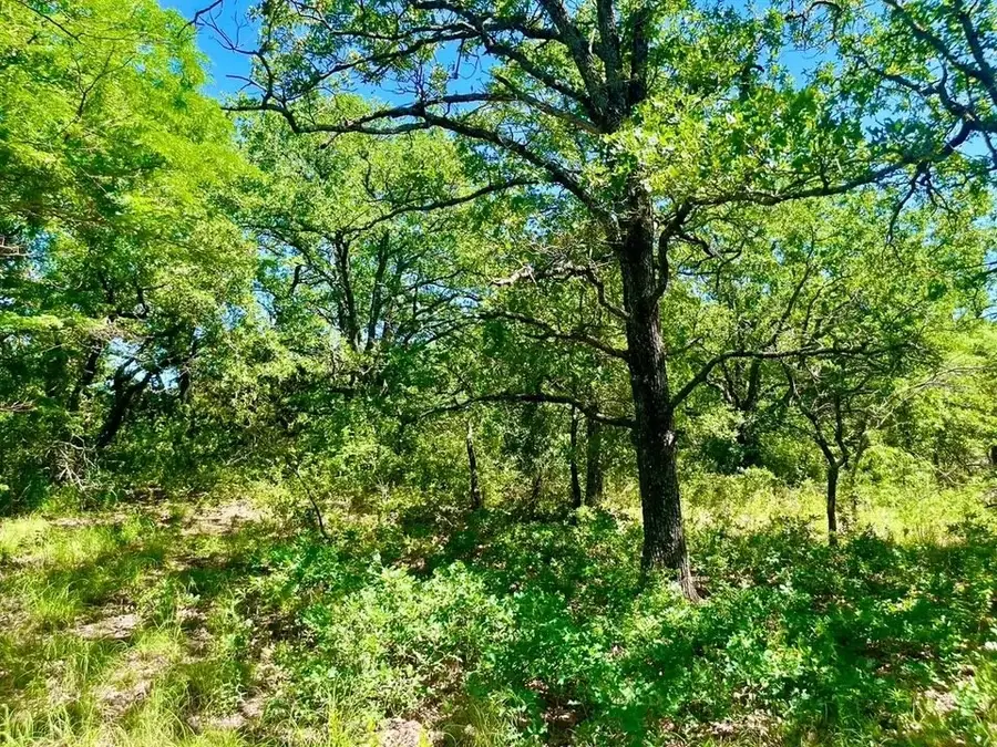 Lot 39 Kilkenny Road, Poolville, TX 76487 - #2