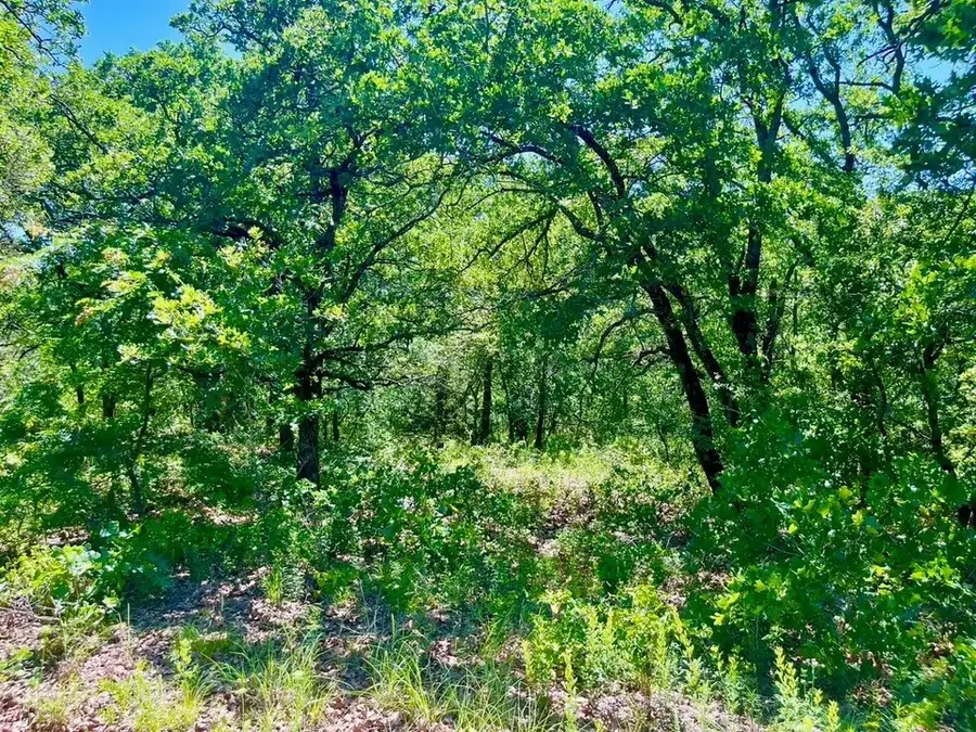 Lot 39 Kilkenny Road, Poolville, TX 76487 - #3
