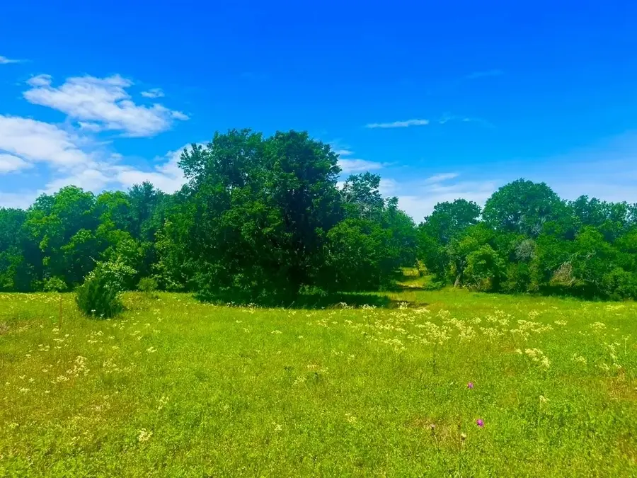 Lot 100 Arlow Road, Poolville, TX 76487 - #2