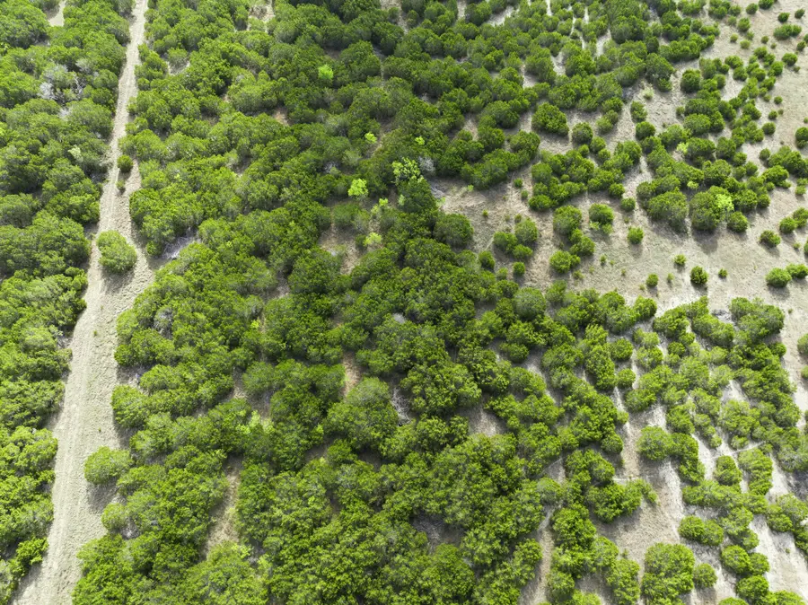 TBD Off Cr 137, Gatesville, TX 76528 - #3