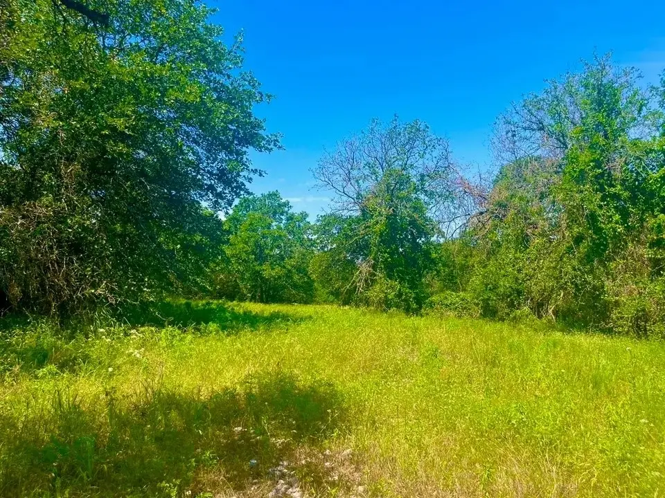 Lot 98 Arlow Road, Poolville, TX 76487 - #1