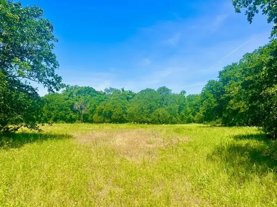 Lot 98 Arlow Road, Poolville, TX 76487 - #2