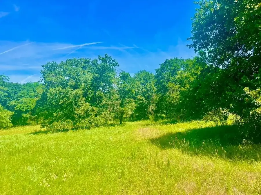 Lot 98 Arlow Road, Poolville, TX 76487 - #3