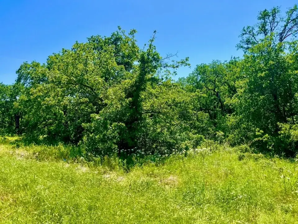 Lot 40 Kilkenny Road, Poolville, TX 76487 - #1