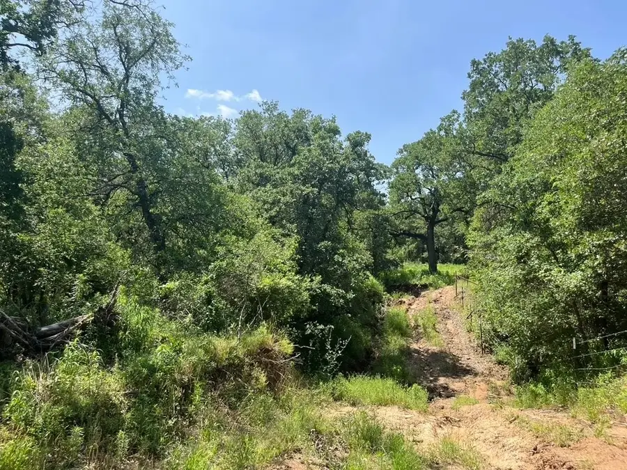 Lot 44 Antrim Court, Poolville, TX 76487 - #3
