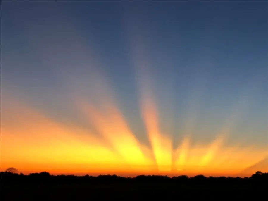 TBD Snap Road, Sherman, TX 75090 - #3