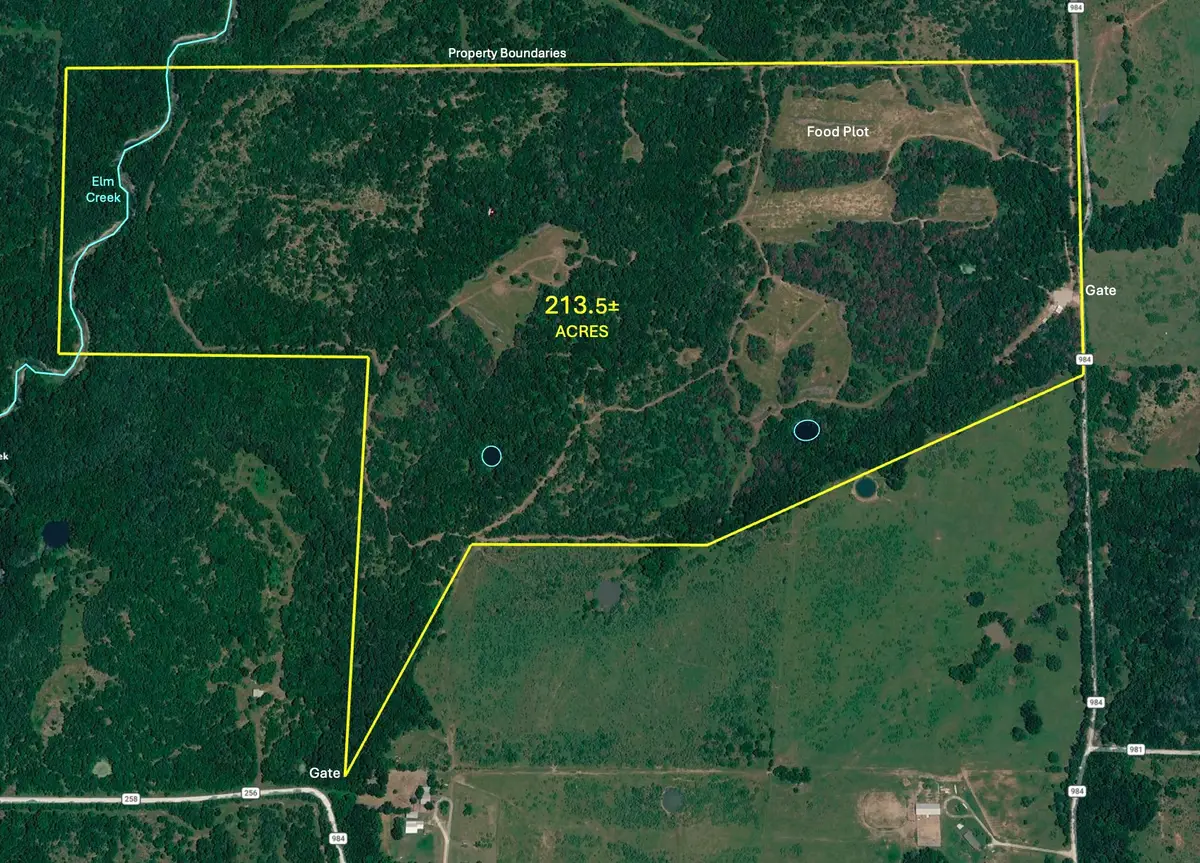 TBD 213.5 acs Fcr 984, Mexia, TX 76667 - #1