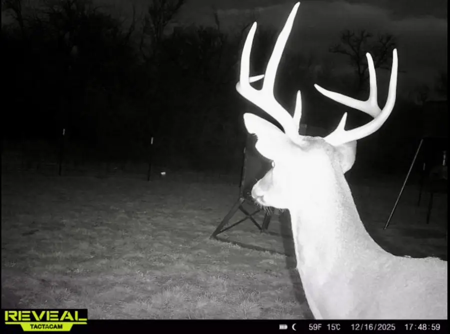 TBD 213.5 acs Fcr 984, Mexia, TX 76667 - #3