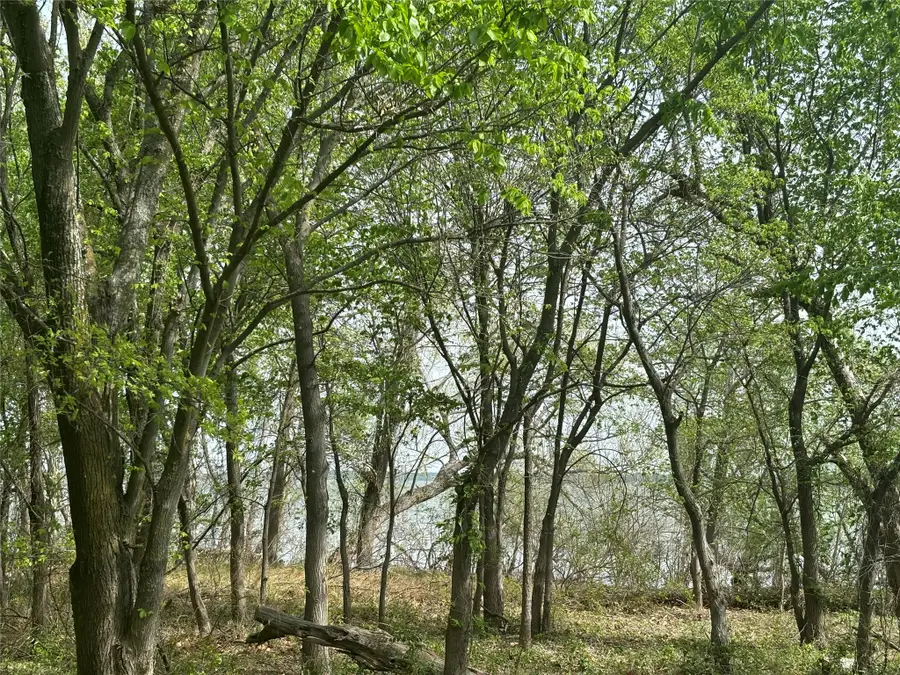 151 & 161 Aspen Road, Shady Shores, TX 76208 - #3