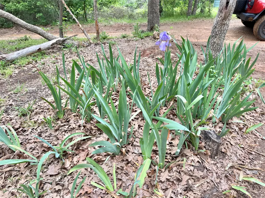 320 Hillside Lane, Valley View, TX 76272 - #3