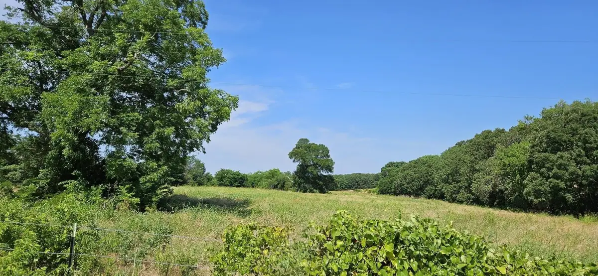 1651 Desvoignes Road, Denison, TX 75021 - #1