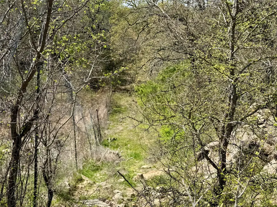 TBD Fm 1885, Perrin, TX 76486 - #3