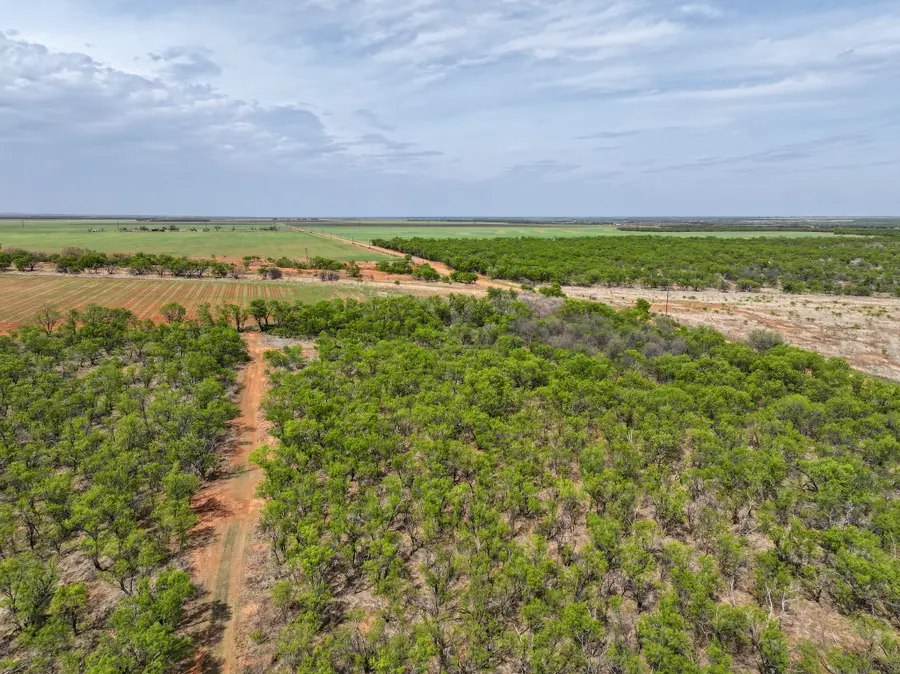 TBD Cr 134, Old Glory, TX 79540 - #2