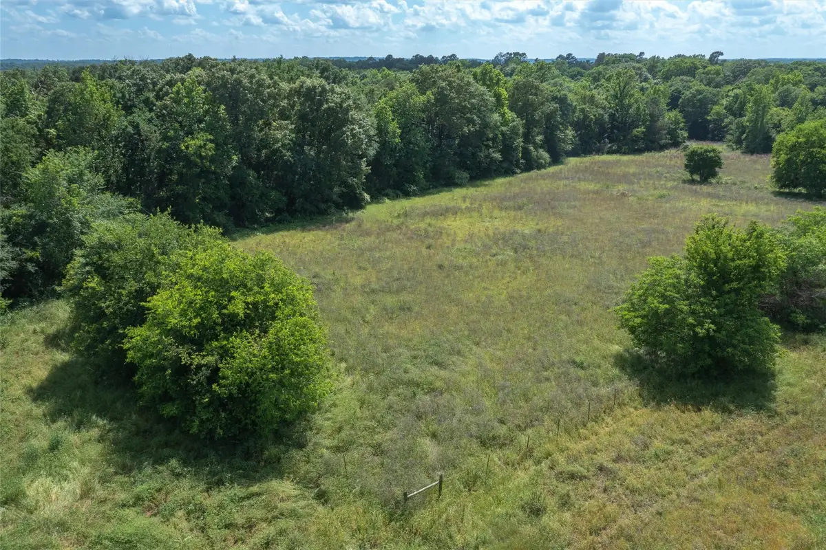 6705 Fox Road, Gilmer, TX 75644 - #1