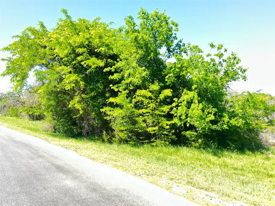 35044 Oak Wood Drive, Whitney, TX 76692 - #3