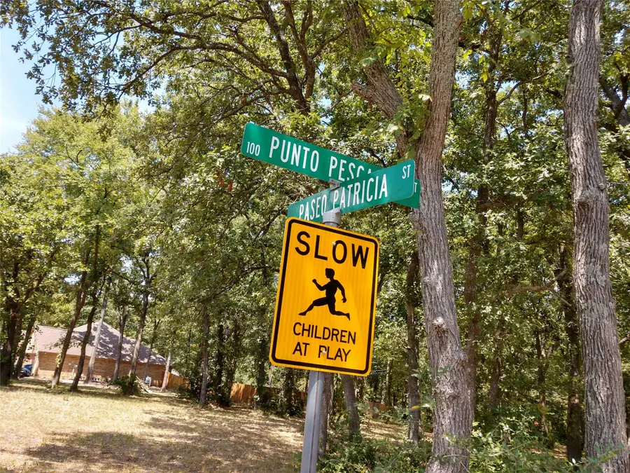 373 Punta Pescador, Gun Barrel City, TX 75147 - #3