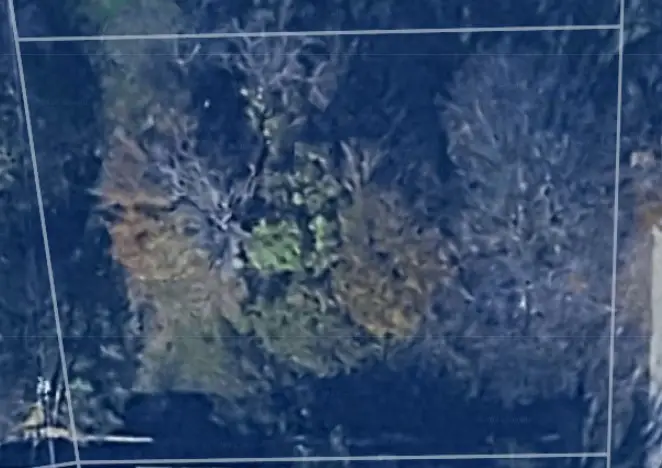 249 Wildwind Street, Gun Barrel City, TX 75156 - #1