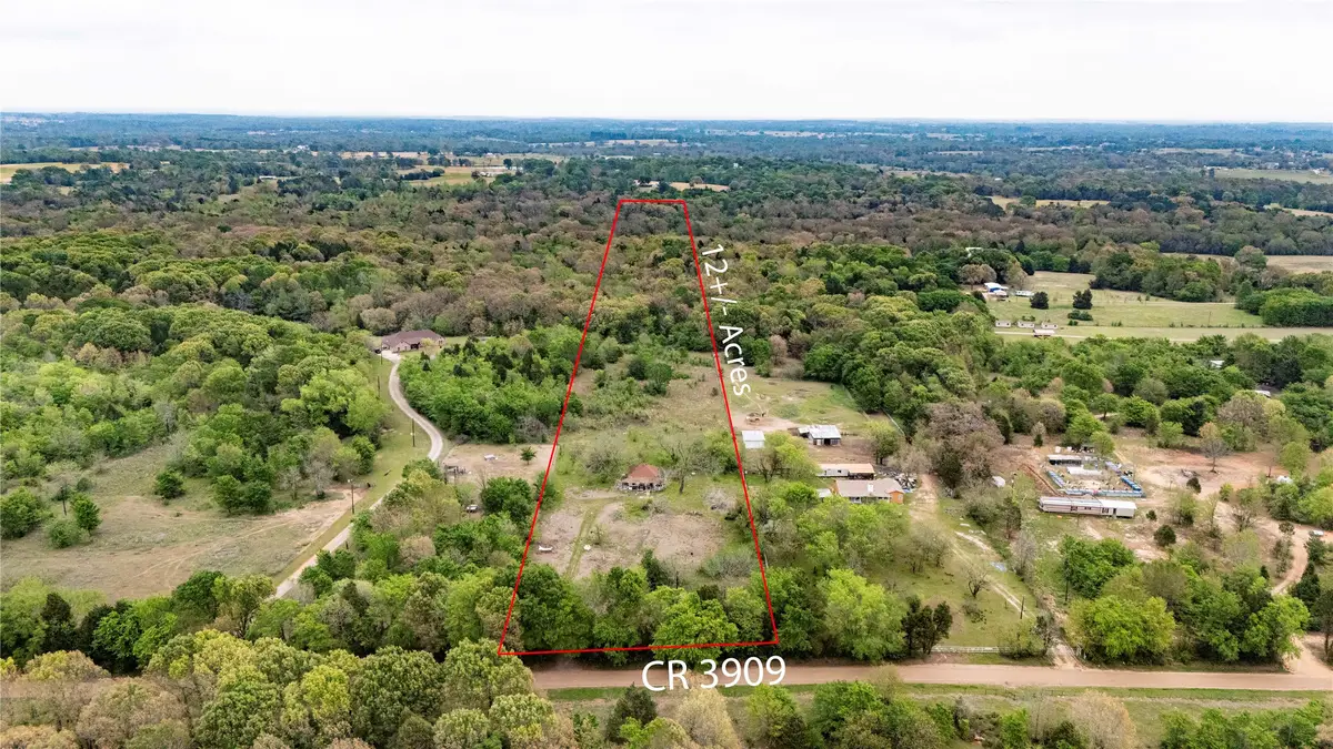9722 County Road 3909, Athens, TX 75752 - #1