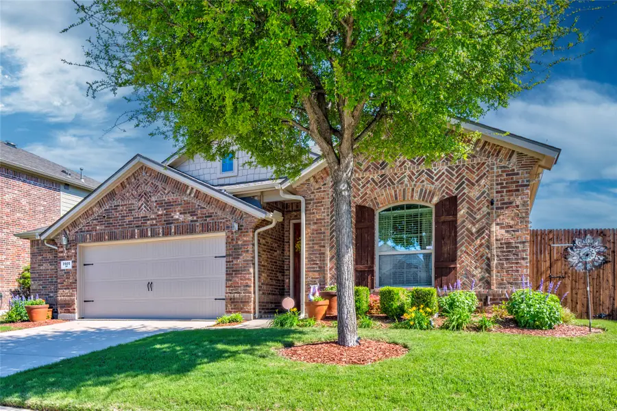 2505 Sun Creek Drive, Little Elm, TX 75068 - #2