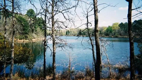 9349 Safari Shores Drive, Larue, TX 75770