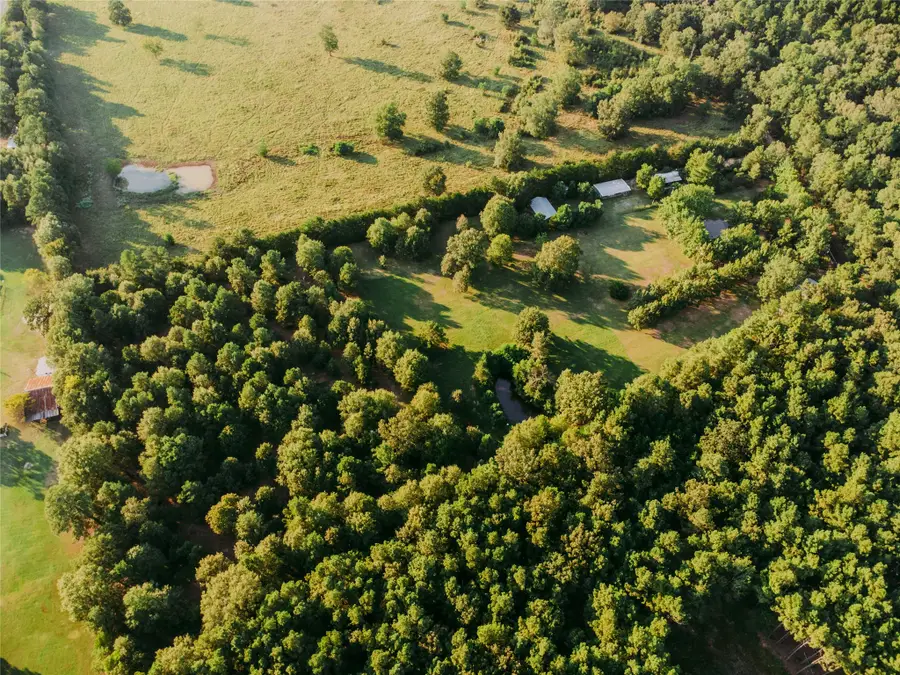 1609 County Road 2626, Wells, TX 75976 - #2