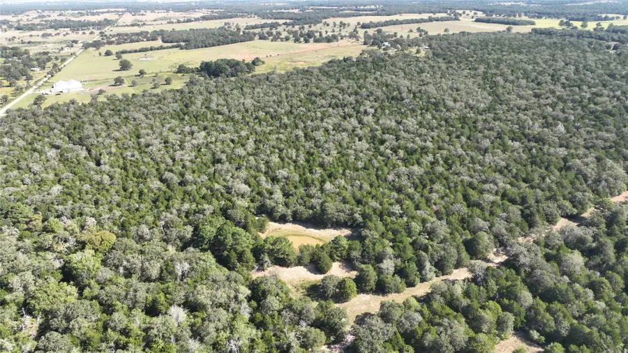 000 Easley, Smithville, TX 78957 - #3