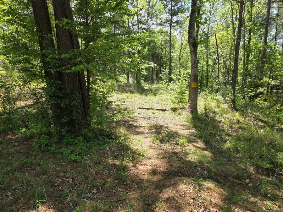 0 Fm 323, Palestine, TX 75801 - #2