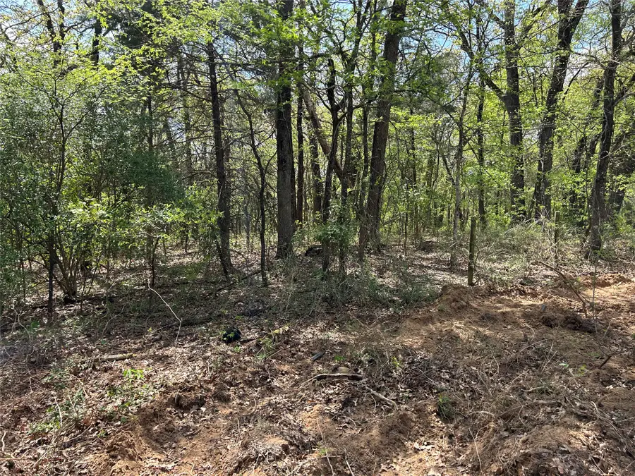 2104 Peterson, Denison, TX 75020 - #3