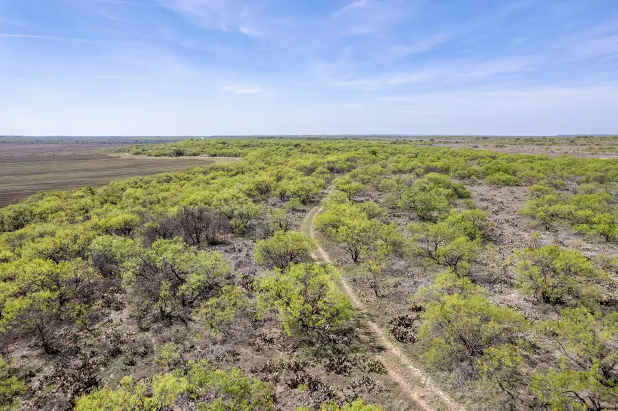 TBD County Road 464, Coleman, TX 76834 - #3