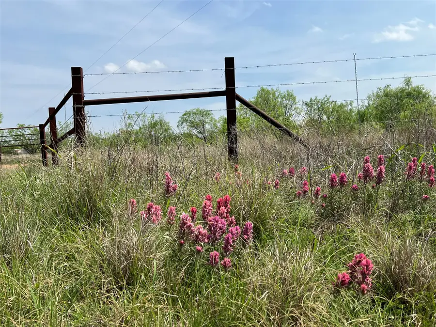 7565 Hwy 377, Brownwood, TX 76801 - #2