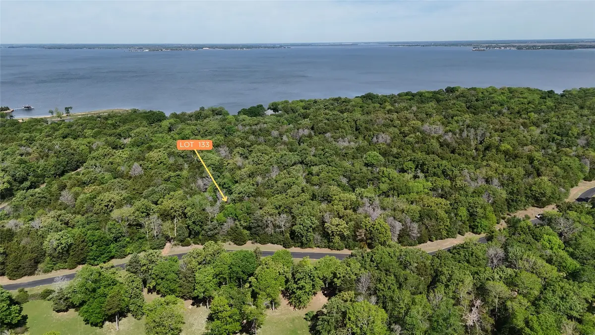 Lot 133 Lincoln Drive, Streetman, TX 75859 - #1