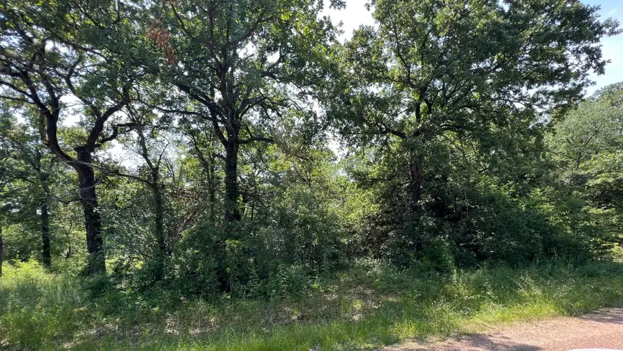 TBD Natchez Trail, Mabank, TX 75156 - #2