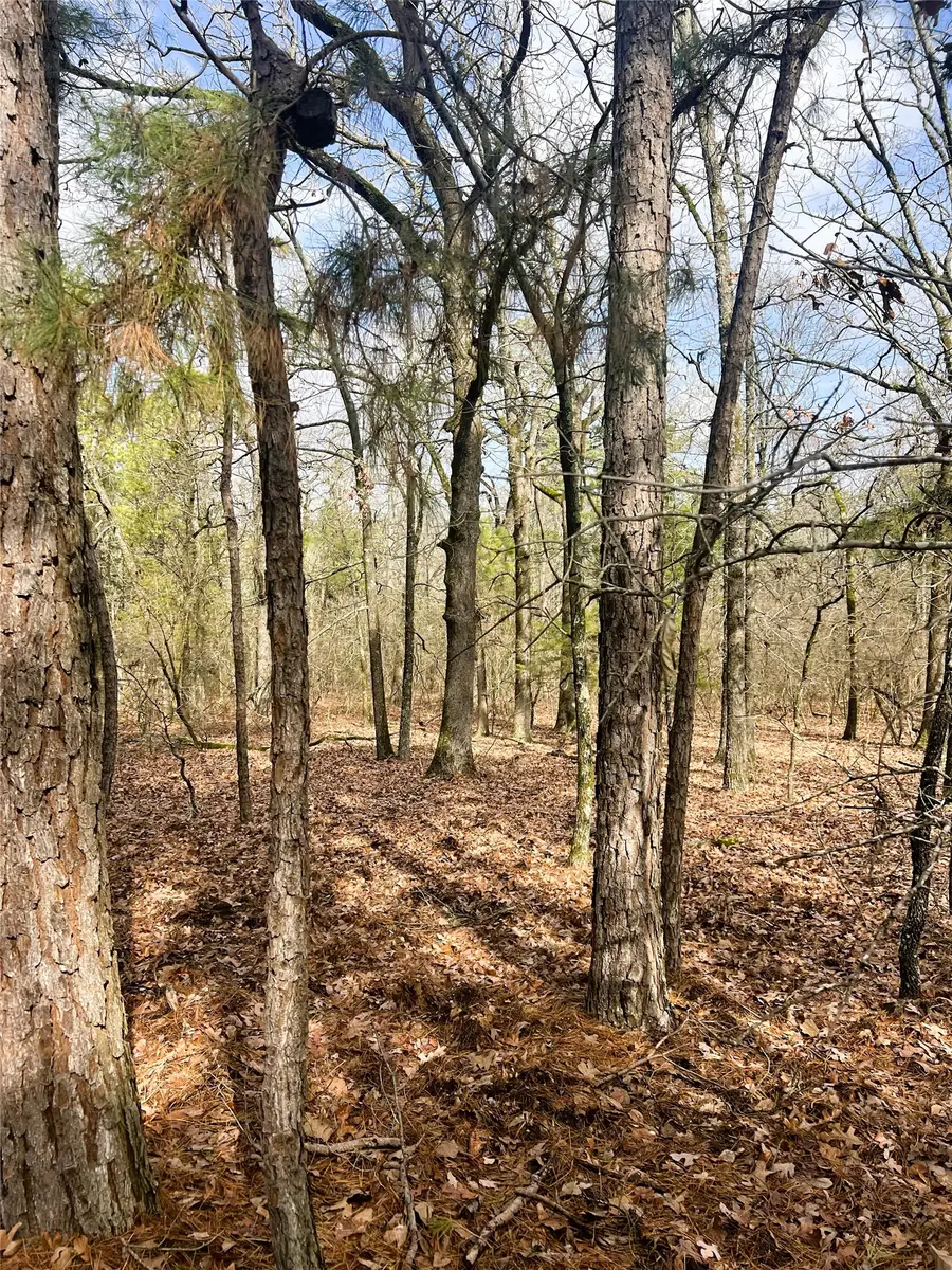 000 Private Road 8000, Winnsboro, TX 75494 - #2