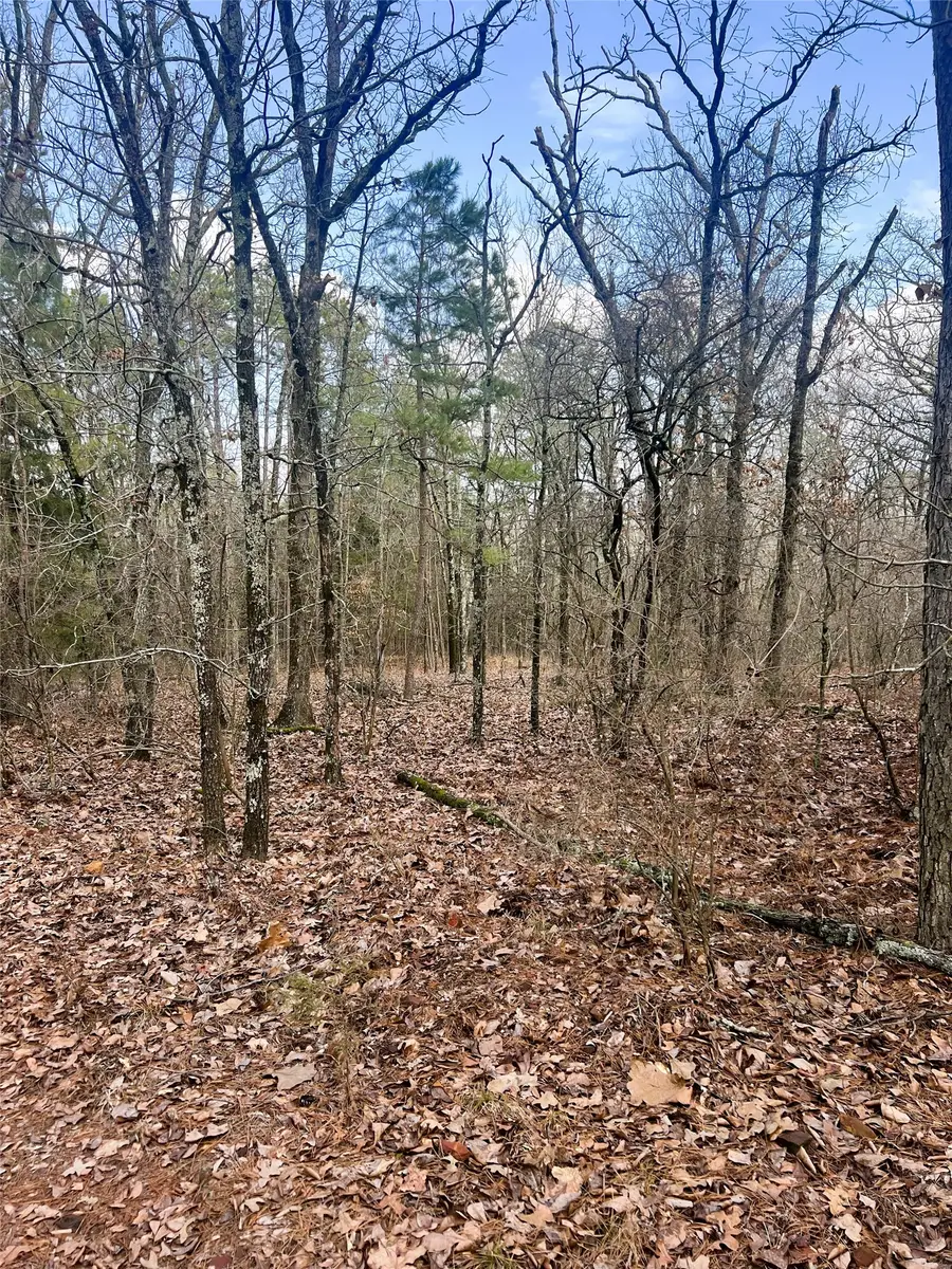 000 Private Road 8000, Winnsboro, TX 75494 - #3