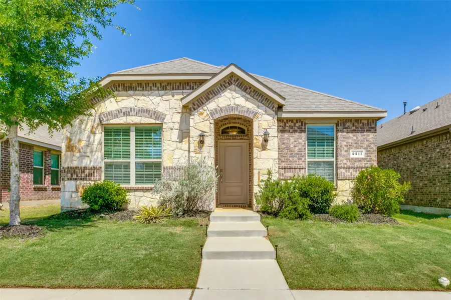 2341 Opaline Drive, Little Elm, TX 76227 - #2