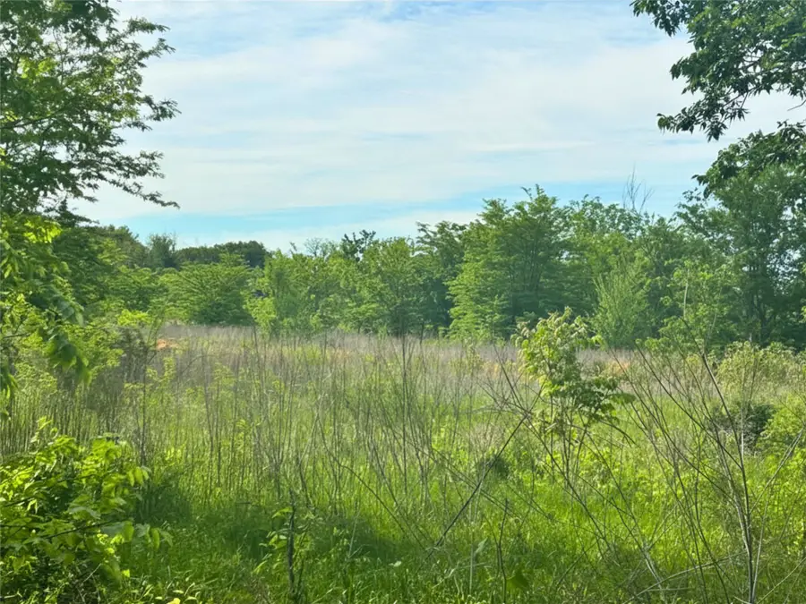 TBD S First St, Point, TX 75472 - #2