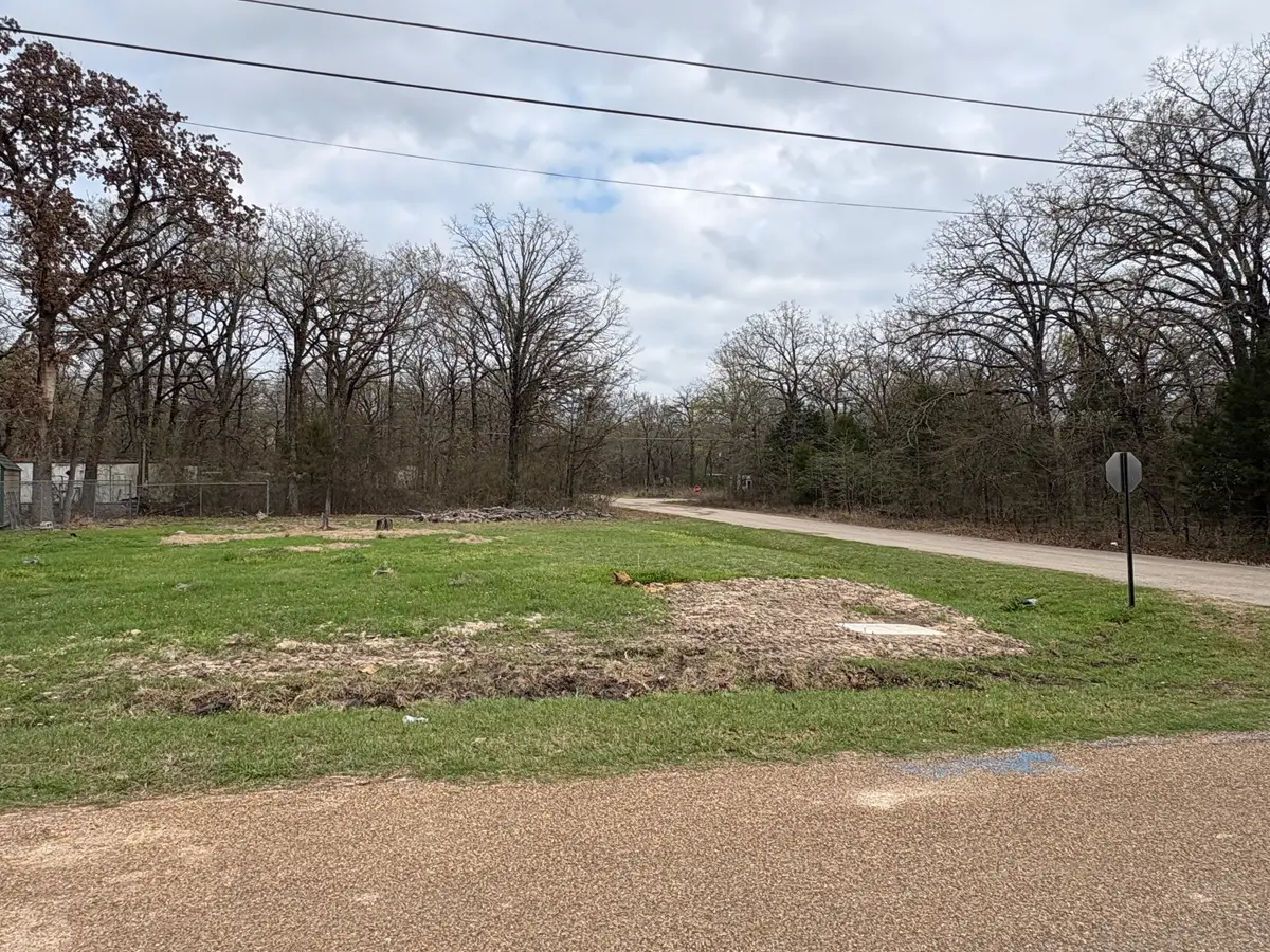 145 Kanawka Road, Mabank, TX 75156 - #1