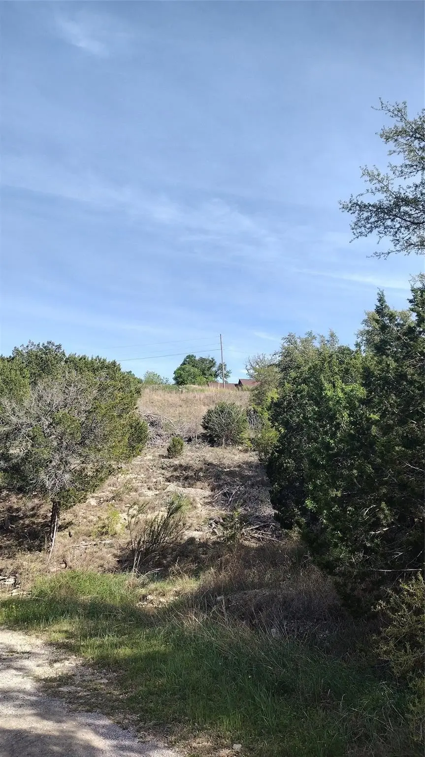 2613 Steepleridge Circle, Granbury, TX 76048 - #3