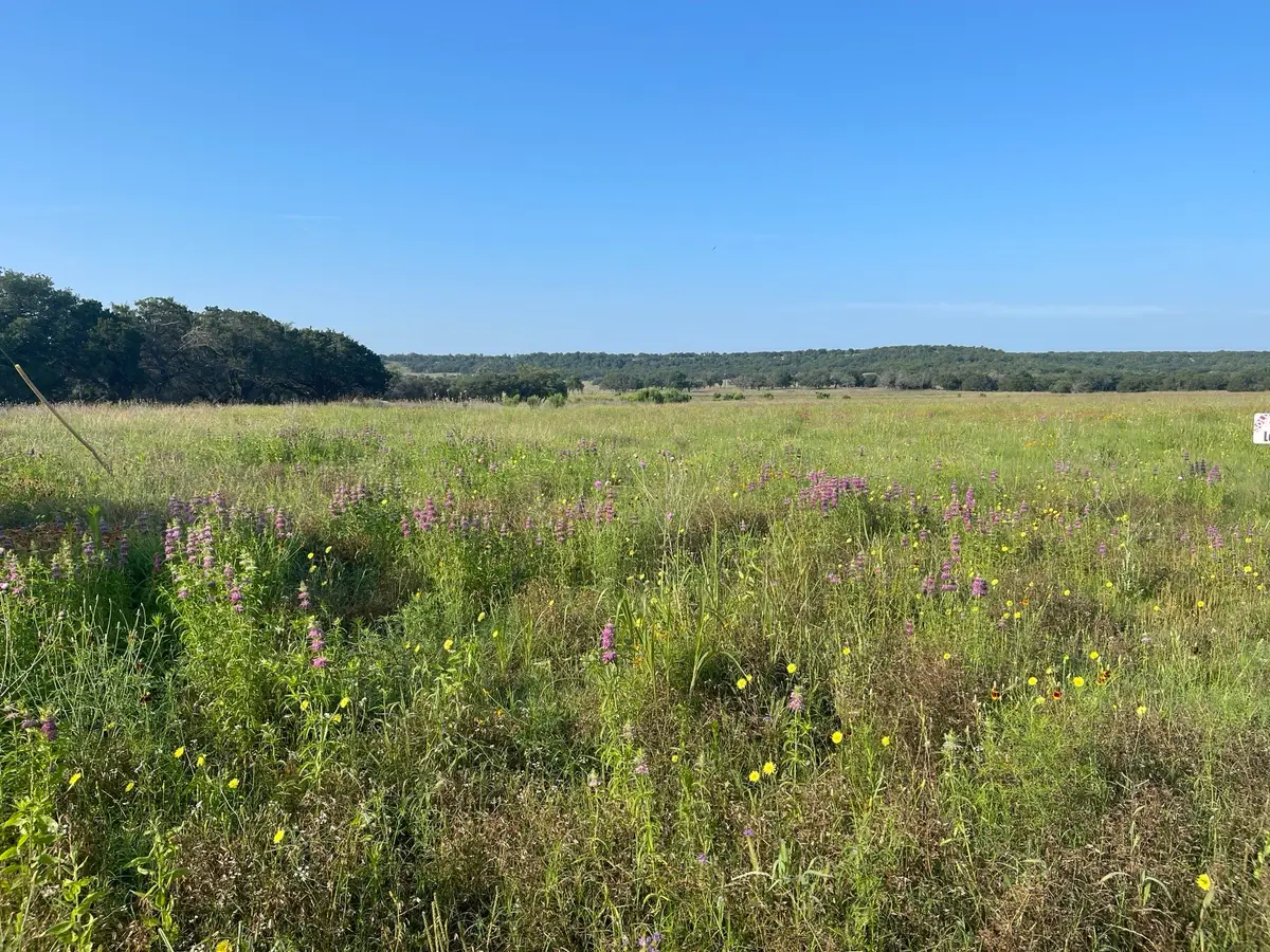 Lot 11 Fm 1690, Gatesville, TX 76528 - #1