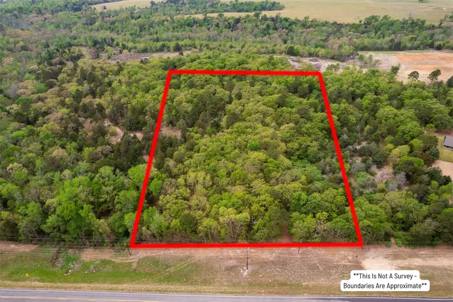TBD 6.16 acres Fm 115, Scroggins, TX 75480 - #2