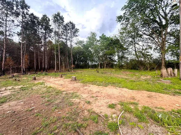 215 Cr 4205, Naples, TX 75568