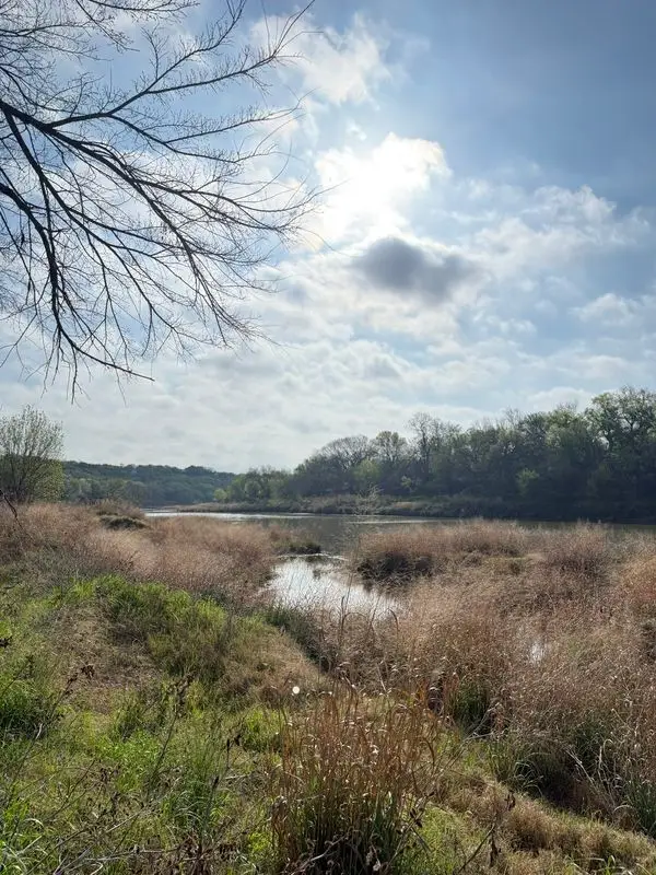 747 Seybold Road, Mineral Wells, TX 76067 - #3