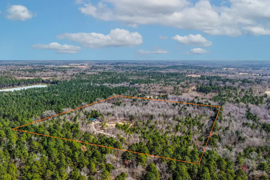 1462 Mole Road, Winnsboro, TX 75494 - #2